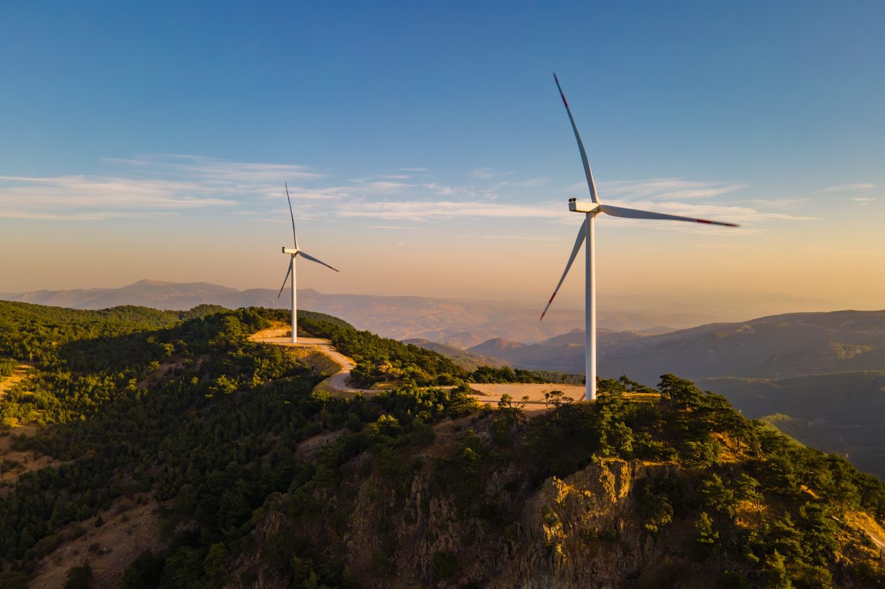 Wind Turbines against a blue sky, suggesting transition and transformation in the ecosystem.